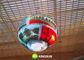 P5mm che gira l'affitto dello schermo di visualizzazione della palla del LED, esposizione principale creativa HD del globo fornitore